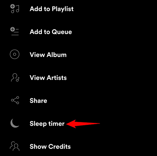 Toca "Temporizador de apagado" en el menú de tres puntos de la aplicación Spotify.