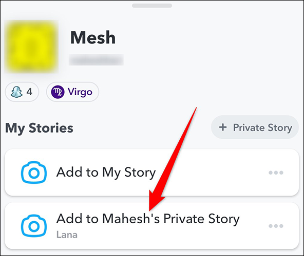 Toque la historia privada en la página de perfil en Snapchat.