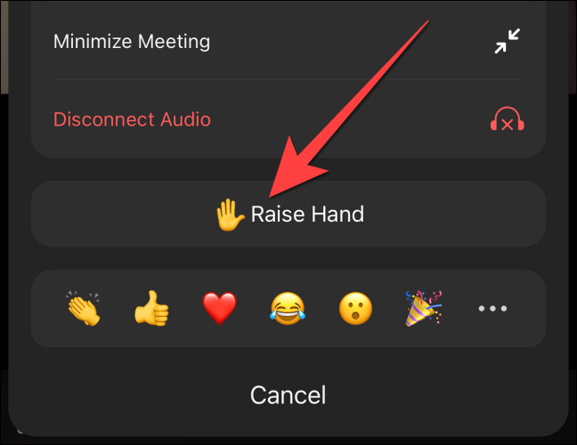 Toque el botón "Levantar la mano" para levantar la mano en la aplicación móvil Zoom.