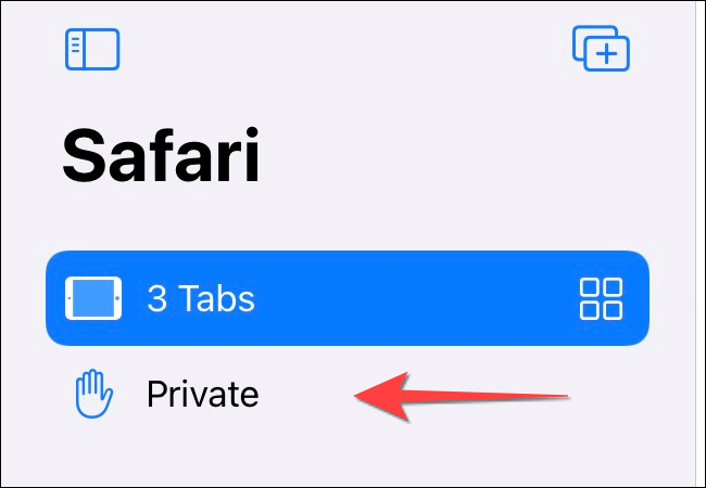 Toque "Privado" para cambiar a un modo de navegación privada y abrir una nueva pestaña privada.