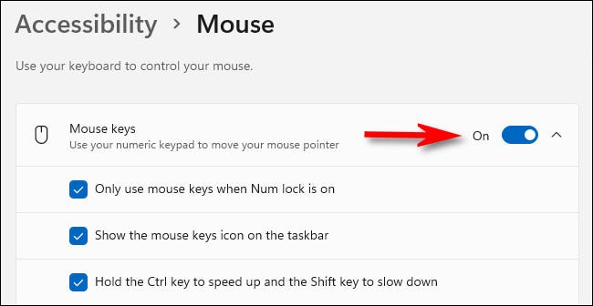 Gire el interruptor junto a "Teclas del mouse" a "Activado".