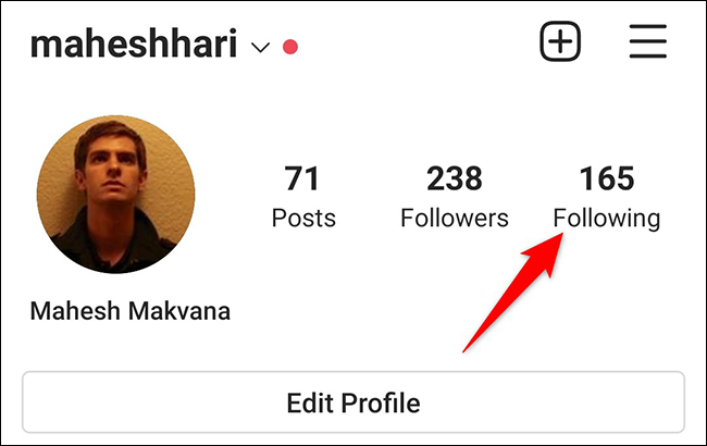 Toca "Siguiendo" en la página de perfil en la aplicación de Instagram.