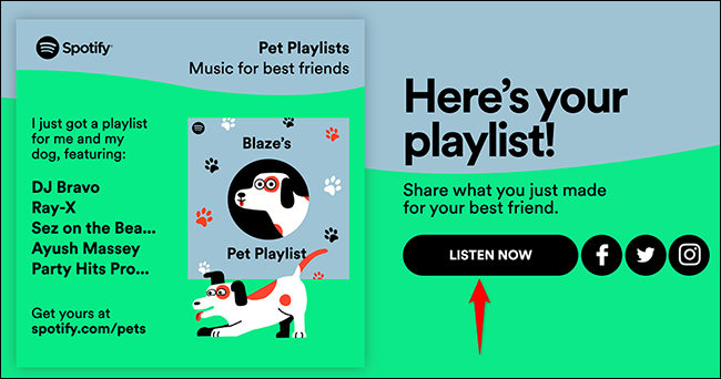 Klicken Sie auf der Spotify for Pets-Website auf "Jetzt anhören".