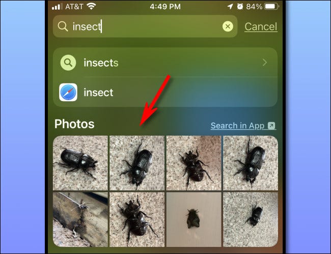 Un ejemplo de miniaturas de fotos que se muestran en los resultados de Spotlight Search en iPhone.