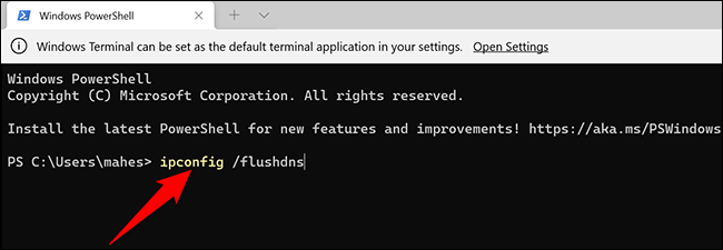 Vacíe la caché de DNS con Windows Terminal.