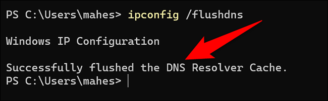 La caché de DNS se borró con la Terminal de Windows.