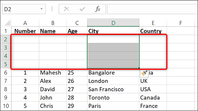 Nuevas filas agregadas en Excel.