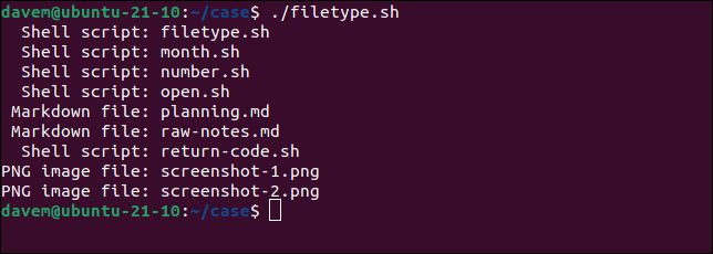 Ejecución del script filetype.sh e identificación de archivos