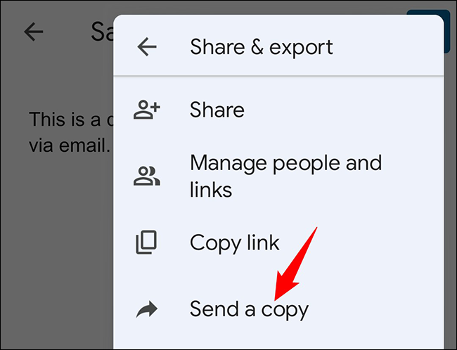 Elija "Enviar una copia" en el menú "Compartir y exportar".