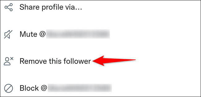 Toca "Eliminar este seguidor" en el menú de tres puntos.