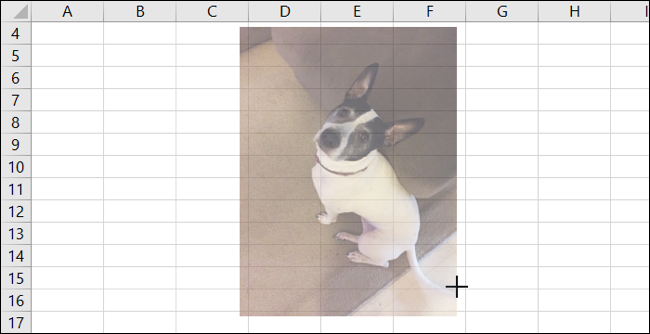 Cambiar el tamaño de la imagen en Excel