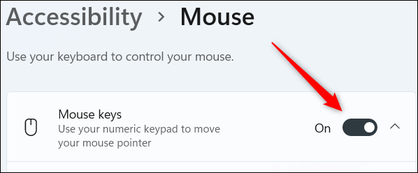 Encienda las teclas del mouse.