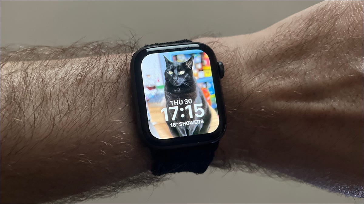 Una carátula de Apple Watch con un gato negro