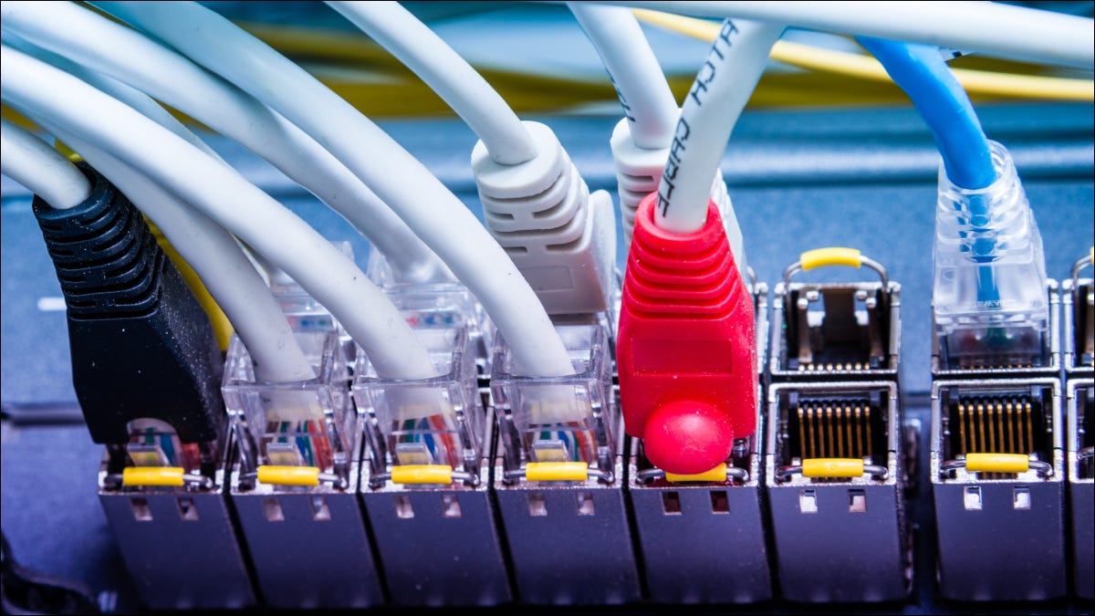 Varios cables Ethernet conectados a los puertos del conmutador