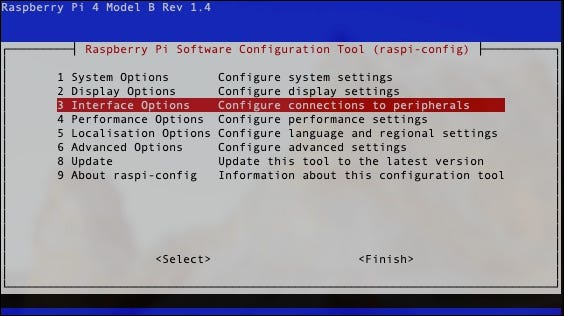 Seleccione "Opciones de interfaz" en la configuración SSH