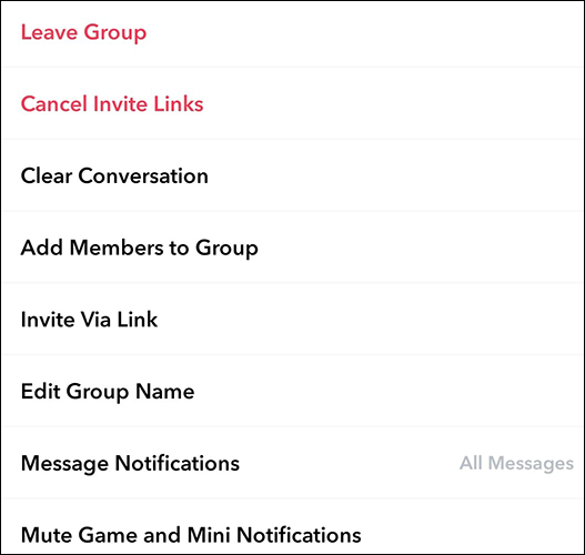 Snapchat más opciones de gestión de grupos.