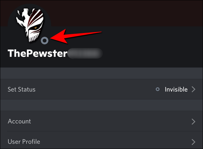 El círculo gris junto a la imagen para mostrar indica el modo fuera de línea o invisible en Discord en dispositivos móviles.