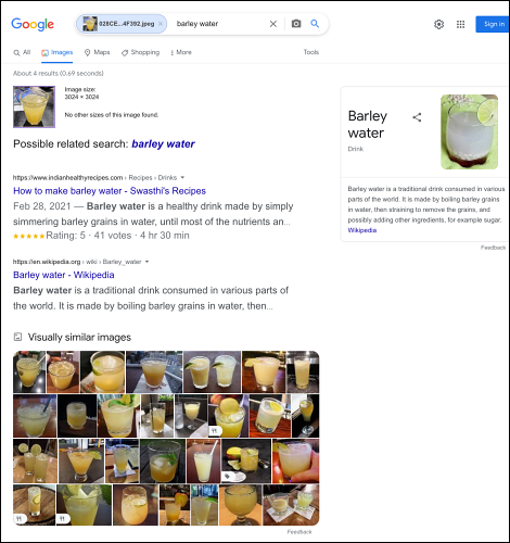 Resultados de búsqueda en Google Images Search en iPhone