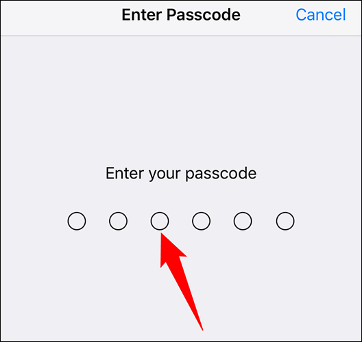 Ingrese el código de acceso actual del iPhone.