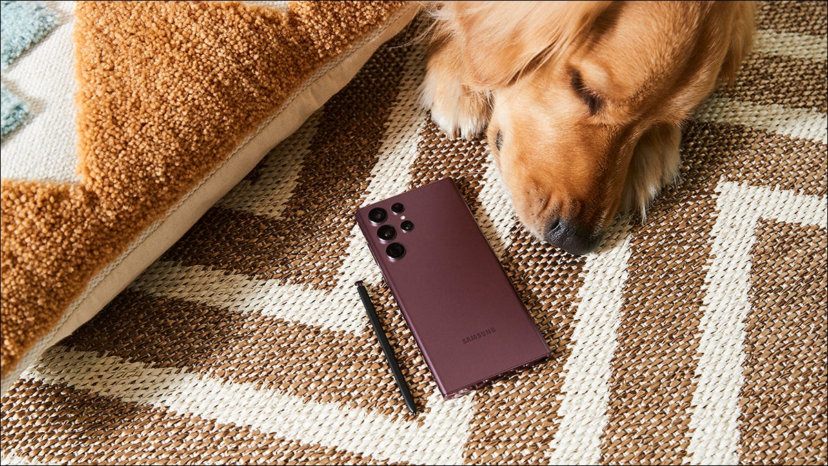 Samsung Galaxy S22 Ultra y un perro
