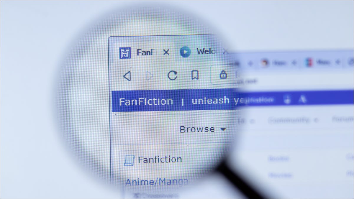Lupa que destaca la palabra "FanFiction" en un sitio web.