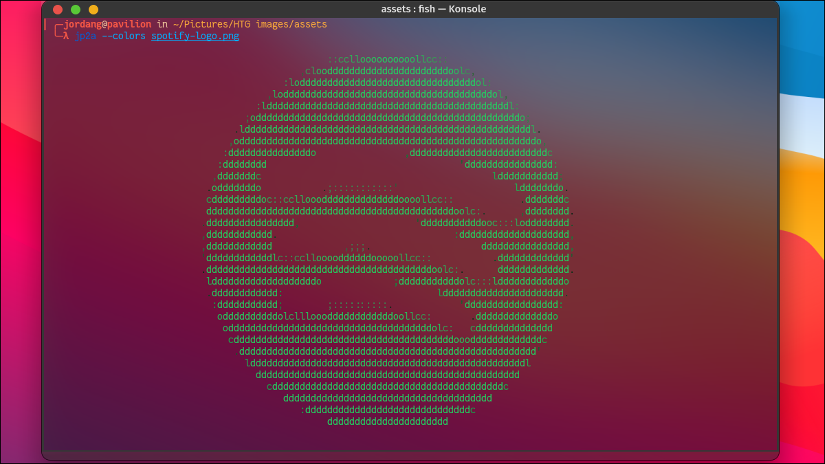 Logotipo de Spotify generado en caracteres ASCII en una terminal Linux.