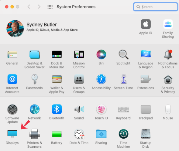 Preferencias del sistema macOS recortadas