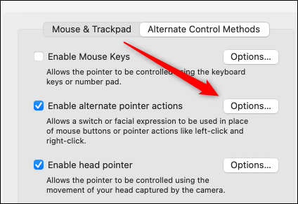 Haga clic en Opciones para habilitar las acciones del puntero.