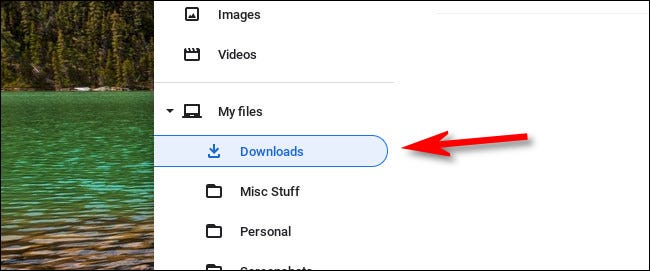 En la aplicación Archivos de Chromebook, seleccione "Descargas" en la barra lateral.