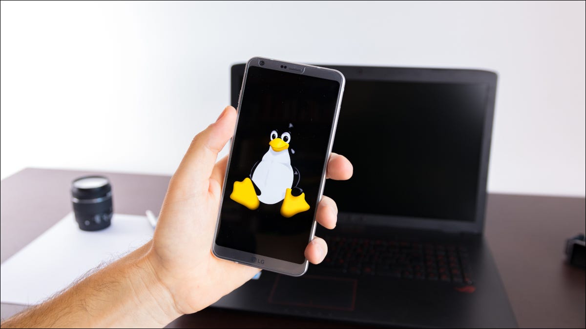 Persona sosteniendo un teléfono inteligente que muestra la mascota de Linux "Tux".