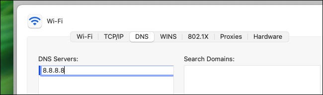 Ingrese una dirección DNS y presione Retorno.