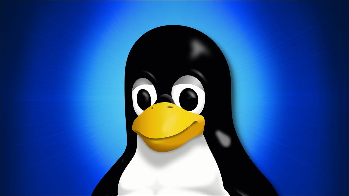 Linux Penguin Mascot Tux de cerca