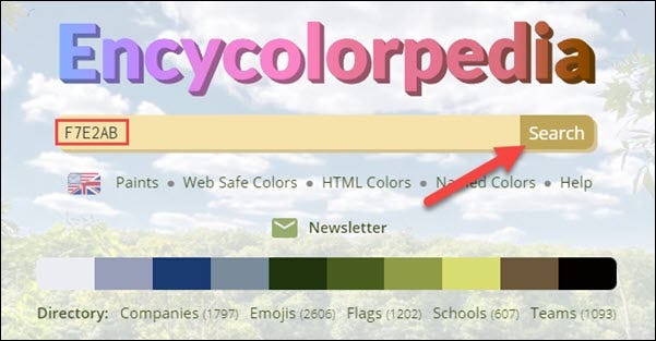 Ingrese el código hexadecimal y haga clic en "Buscar".
