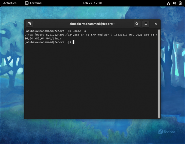 Versión del kernel del terminal Linux identificada usando uname