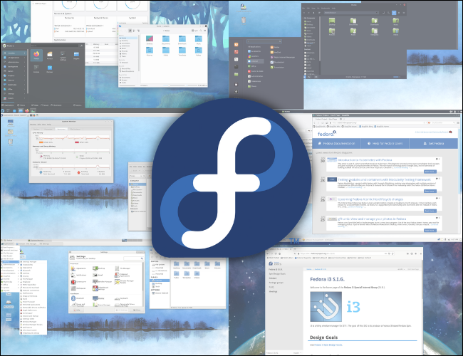 Un collage de Fedora gira bajo el logotipo de Fedora.