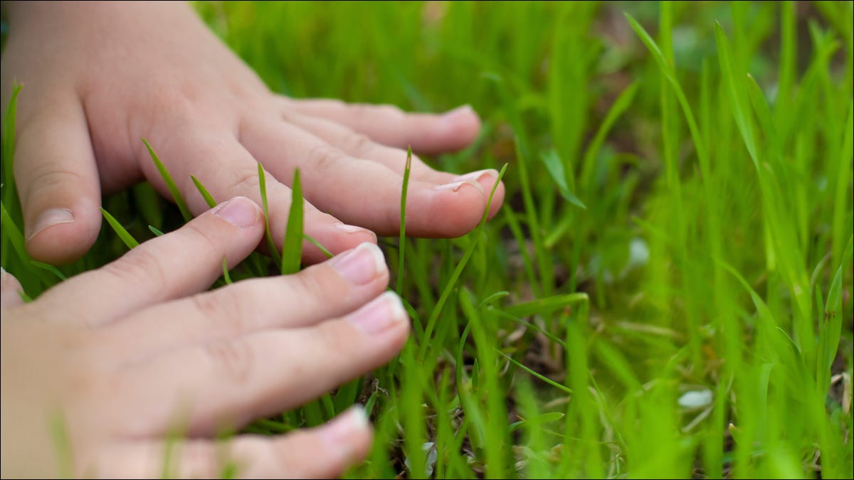 Primer plano de las manos de una persona tocando la hierba.