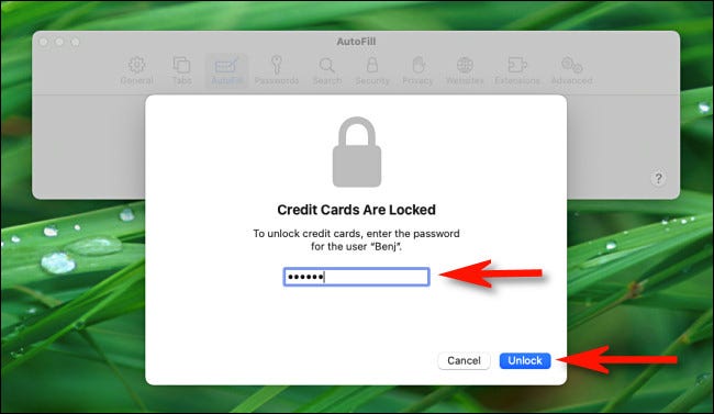 Ingrese la contraseña de su cuenta de Mac para desbloquear las tarjetas de crédito guardadas en Safari.