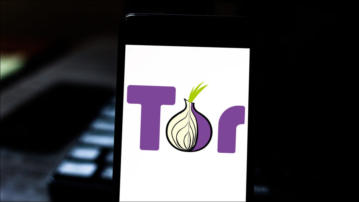 La pantalla de un teléfono inteligente que muestra el logotipo del navegador Tor.