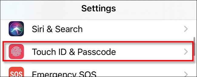In iPhone Settings, tap "Touch ID & Passcode."